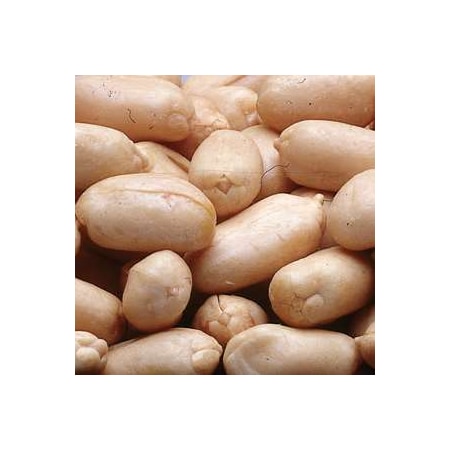 Azar Azar Blanched Raw Peanut 12.5lbs Bag, PK2 8600882